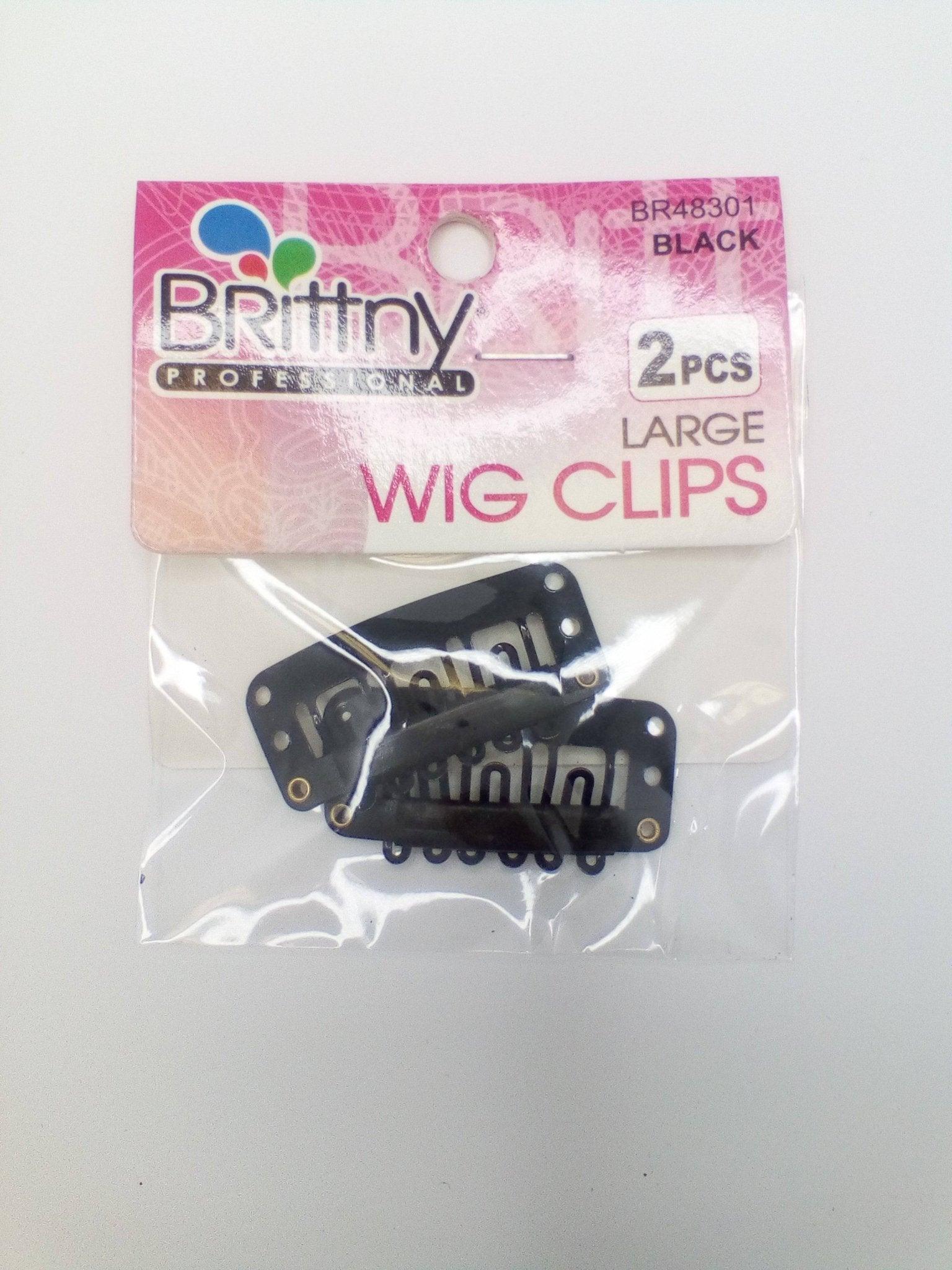 Br-Br48306-Silver-2Pcs-Small-Wig-Clips - African Beauty Online