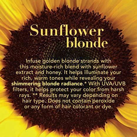 OGX Sunflower Blonde Conditioner 13OZ - African Beauty Online