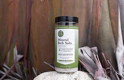 Petal Fresh Pure Mineral Bath Salts Eucalyptus, 20oz - African Beauty Online